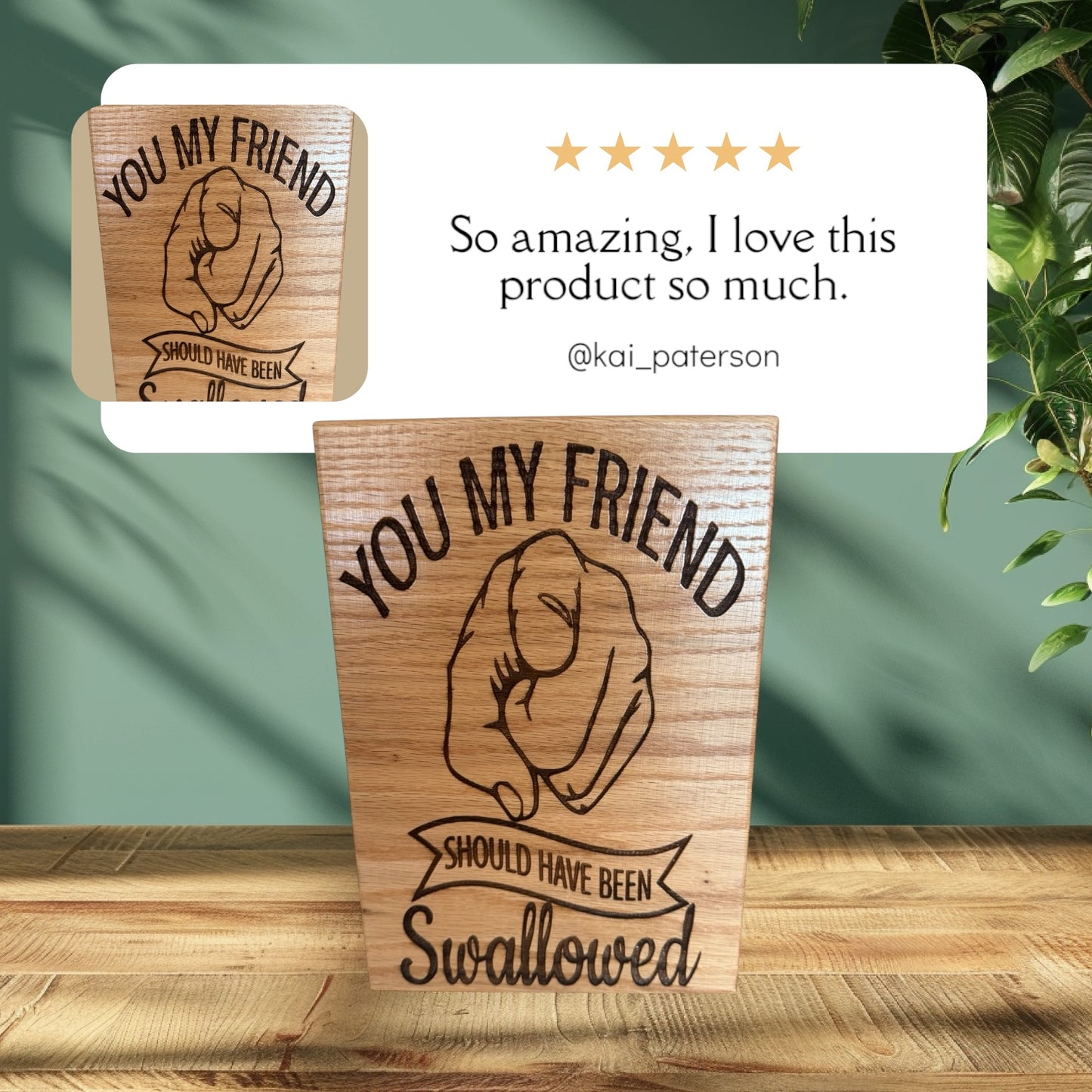 Humorous Red Oak Wood Sign - "You My Friend"